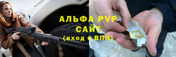 сатива Магас