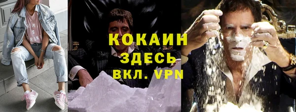 сатива Магас