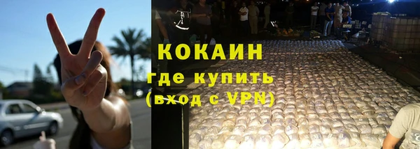 сатива Магас