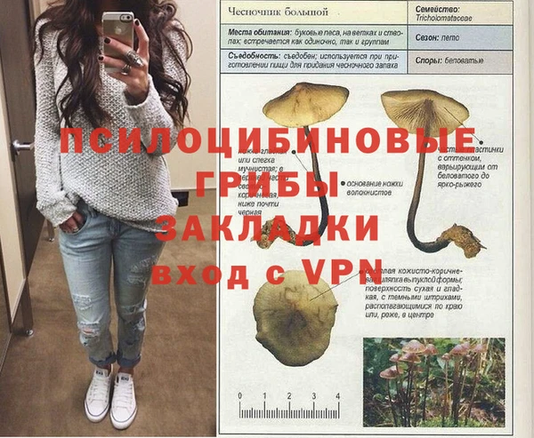 ALPHA-PVP Майский