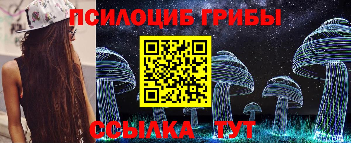 Псилоцибиновые грибы MAGIC MUSHROOMS  что такое наркотик  Дербент 