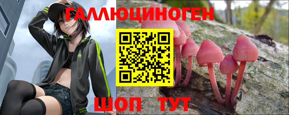 Галлюциногенные грибы Magic Shrooms Дербент